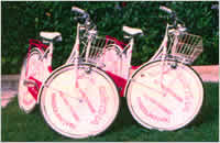 Zwei Frauenräder mit Wheel Discs